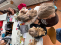 Realschule Meitingen